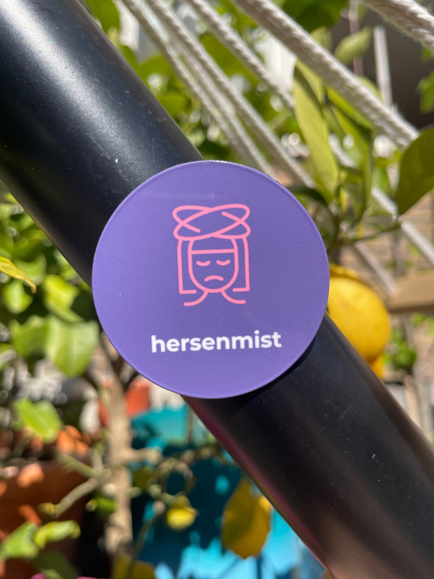 Magneet hersenmist