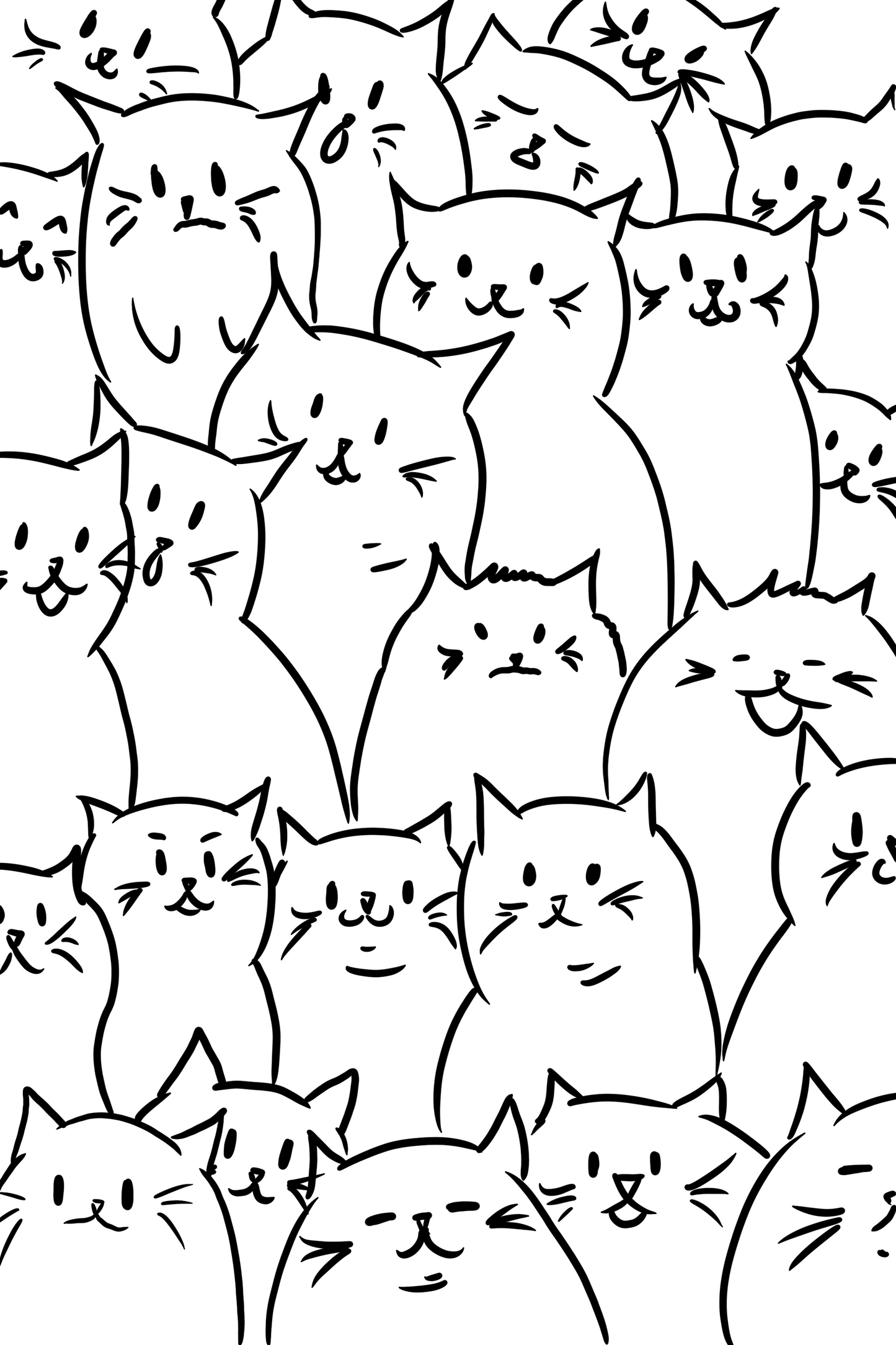 Comfort Letter - pre order!