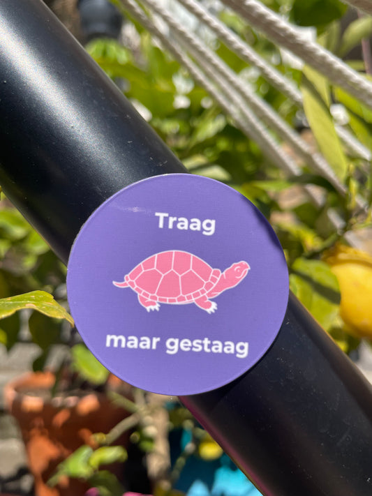 Magneet traag maar gestaag