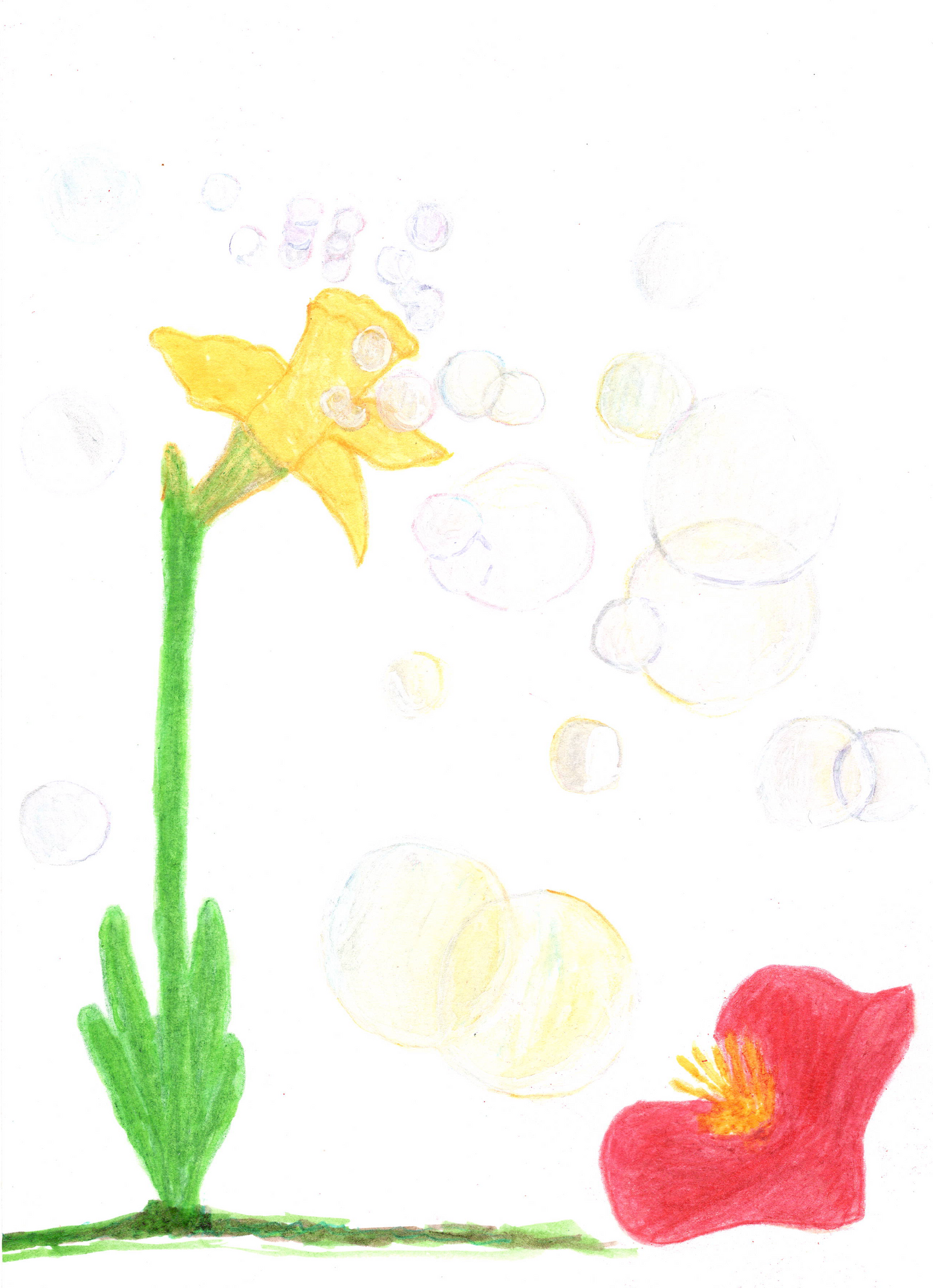 Comfort Letter - pre order!