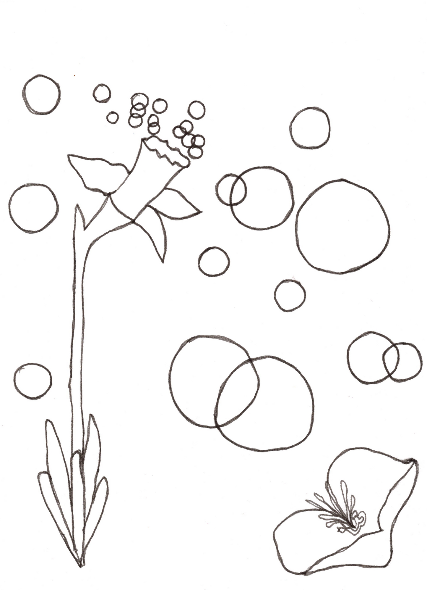 Comfort Letter - pre order!